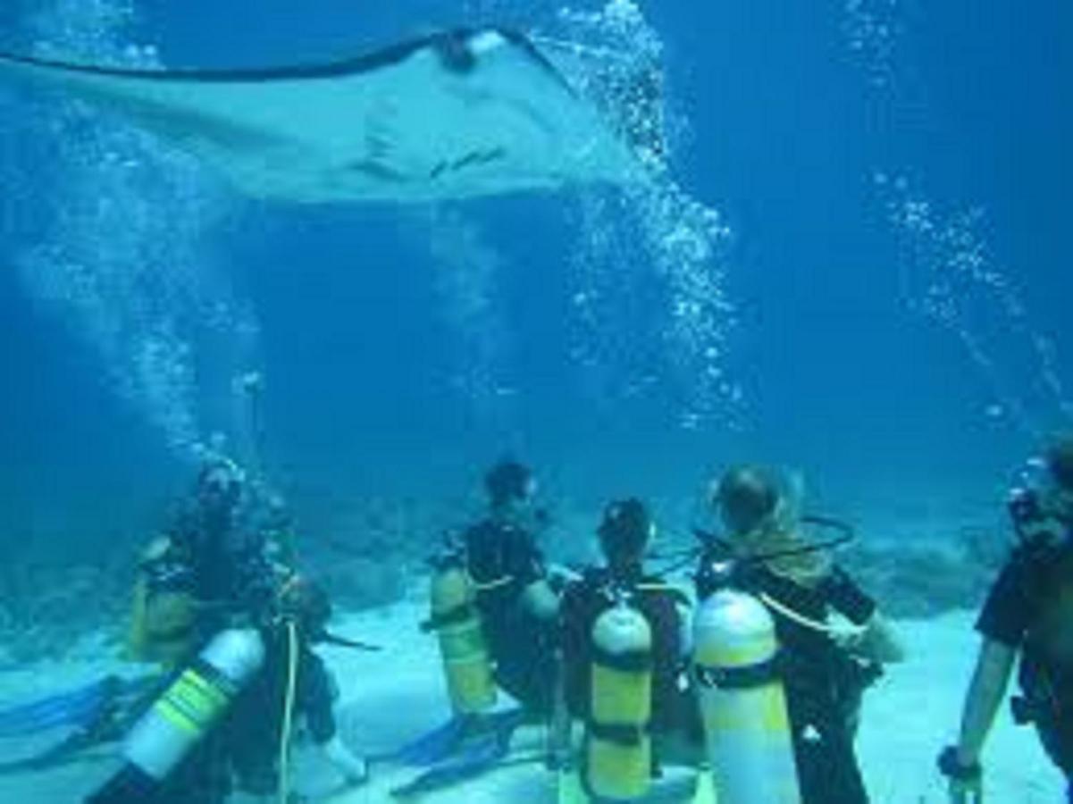 Fins Dive And Leisure Hotel Rasdhoo Экстерьер фото